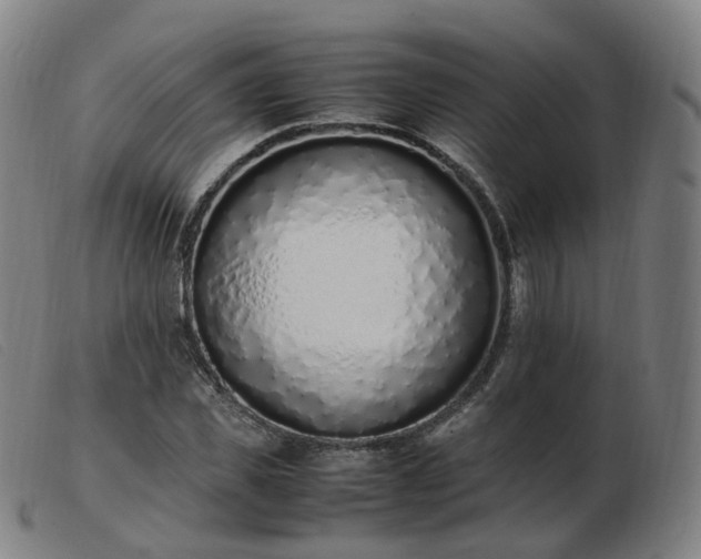 X0000103450925200809191744