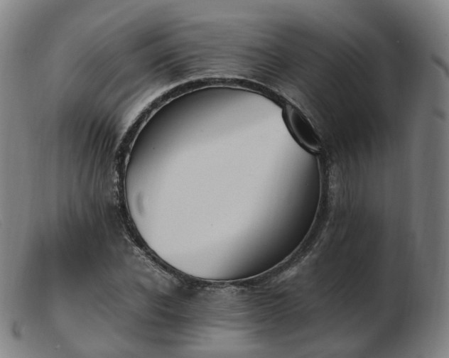 X0000103450926200809191744
