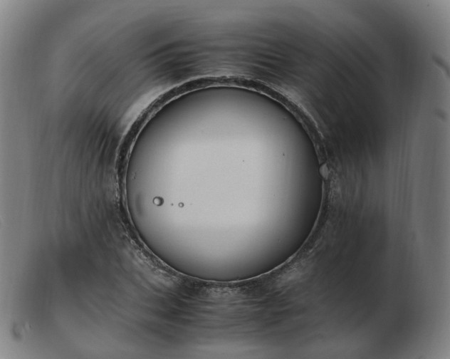 X0000103450927200809191744