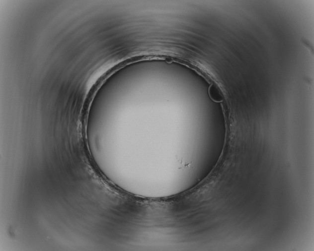X0000103450928200809191744