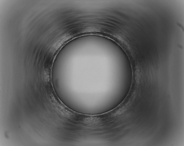 X0000103450929200809191744
