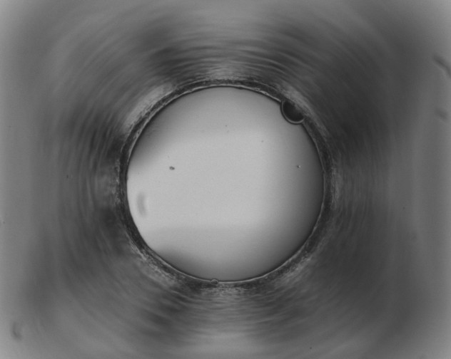X0000103450930200809191744