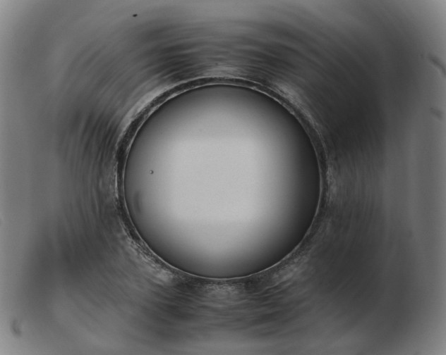 X0000103450931200809191744