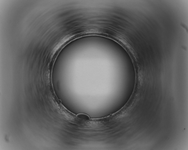X0000103450933200809191744