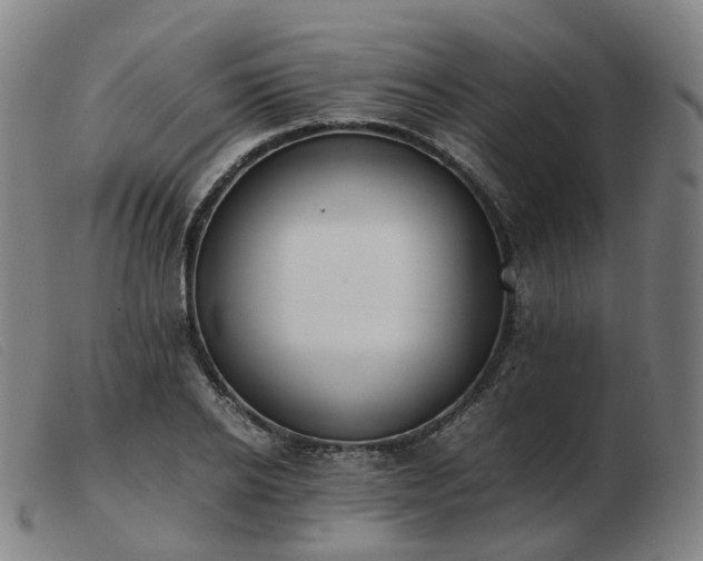 X0000103450934200809191744