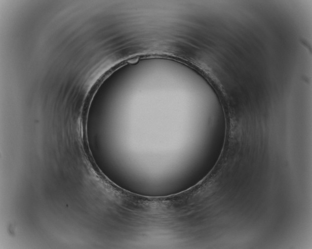 X0000103450936200809191744