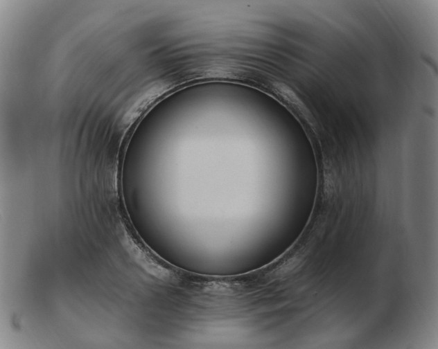 X0000103450938200809191744