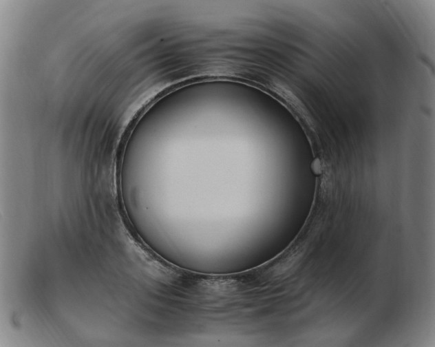 X0000103450939200809191744