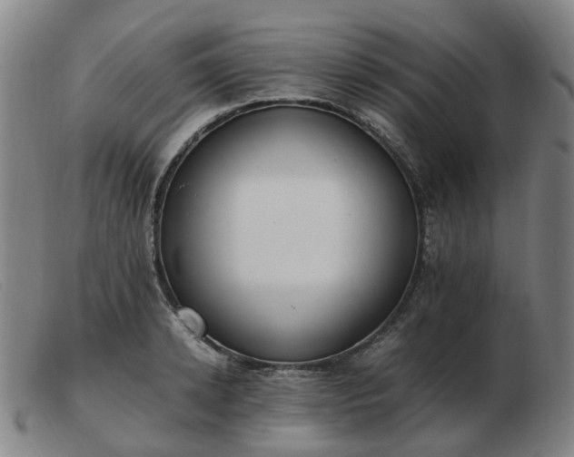 X0000103450942200809191745