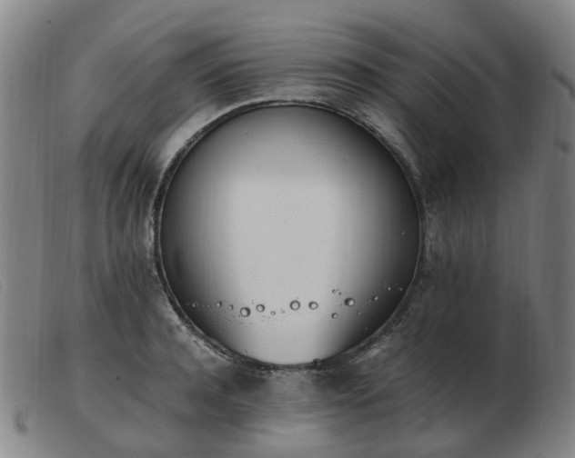 X0000103450944200809191745