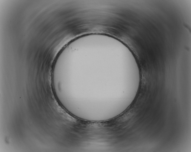 X0000103450950200809191745