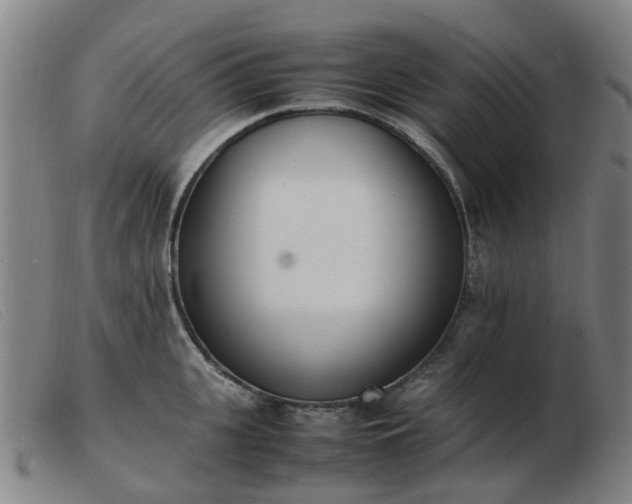 X0000103450951200809191745