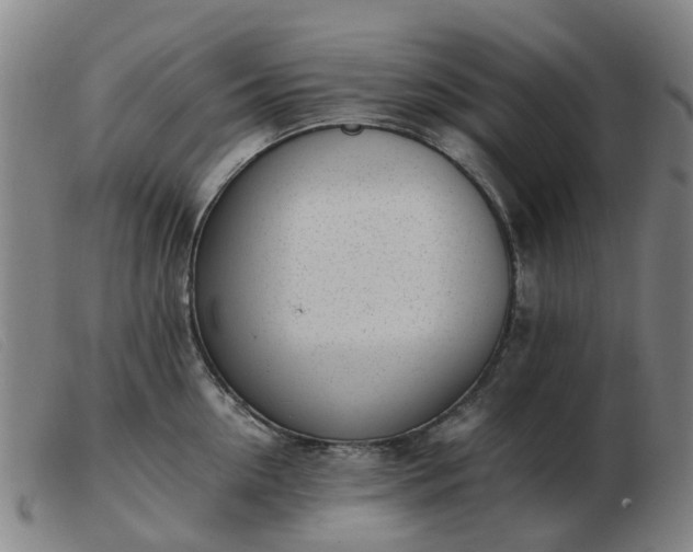 X0000103450954200809191745
