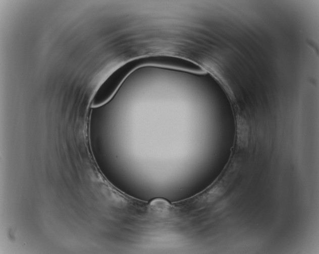 X0000103450956200809191745