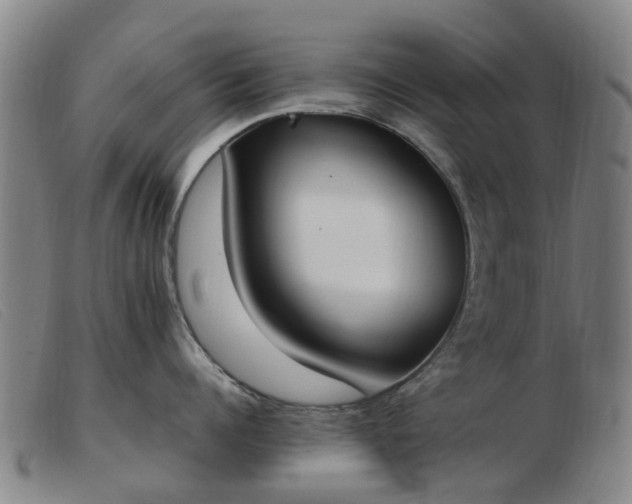 X0000103450960200809191745