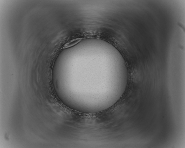 X0000103450961200809191744