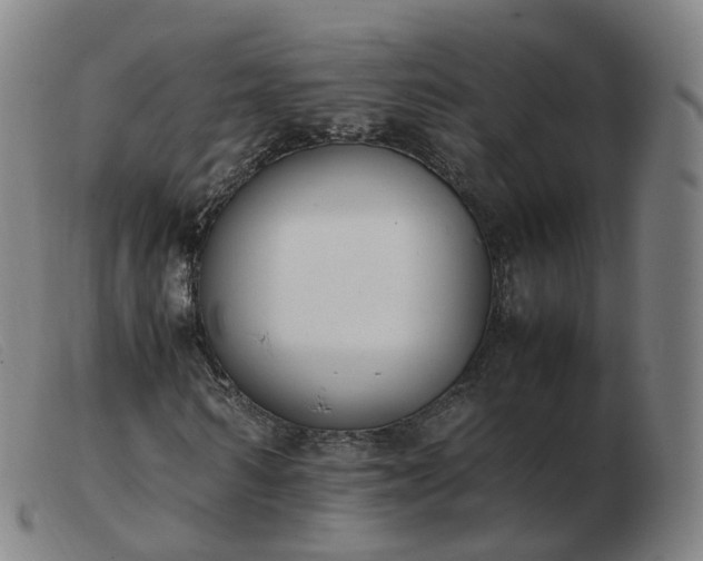 X0000103450962200809191744