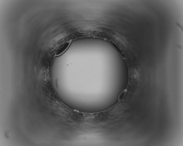X0000103450965200809191744