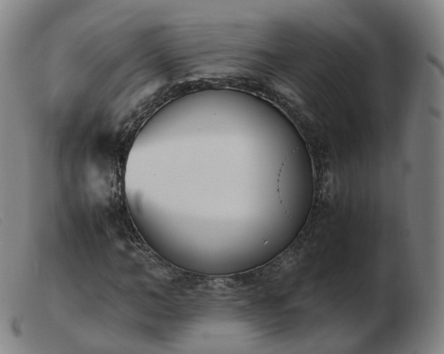 X0000103450966200809191744