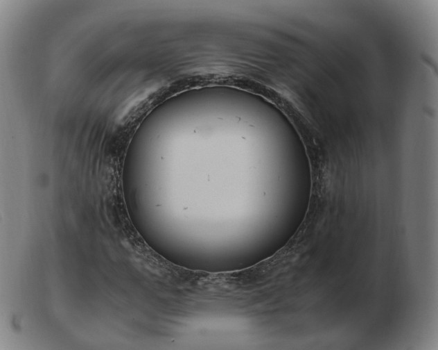 X0000103450967200809191744
