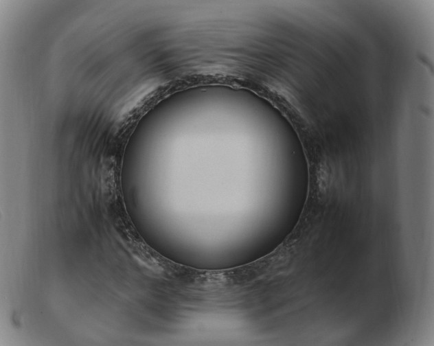 X0000103450968200809191744