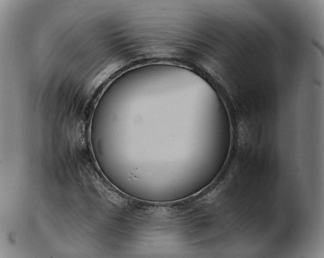 X0000103450970200809191744
