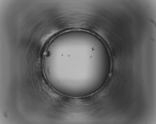 X0000103450971200809191744