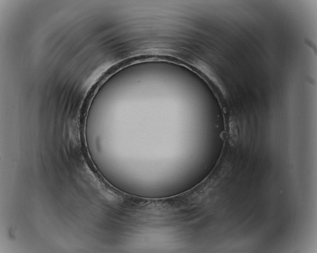 X0000103450972200809191744
