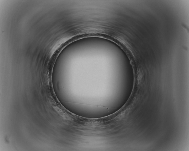 X0000103450973200809191744