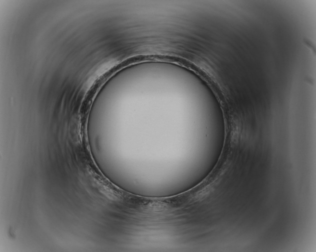 X0000103450974200809191744