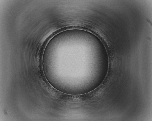 X0000103450975200809191744