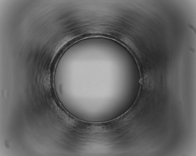 X0000103450976200809191744