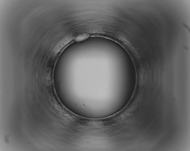 X0000103450977200809191744