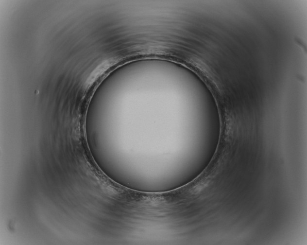 X0000103450978200809191744