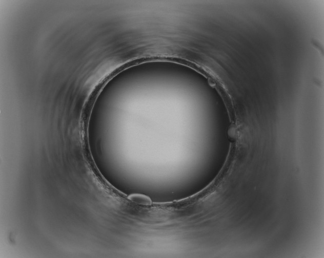 X0000103450981200809191744