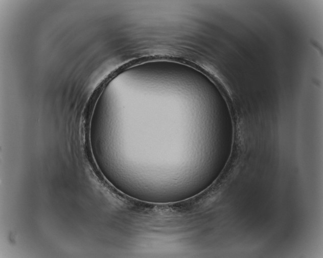 X0000103450983200809191744