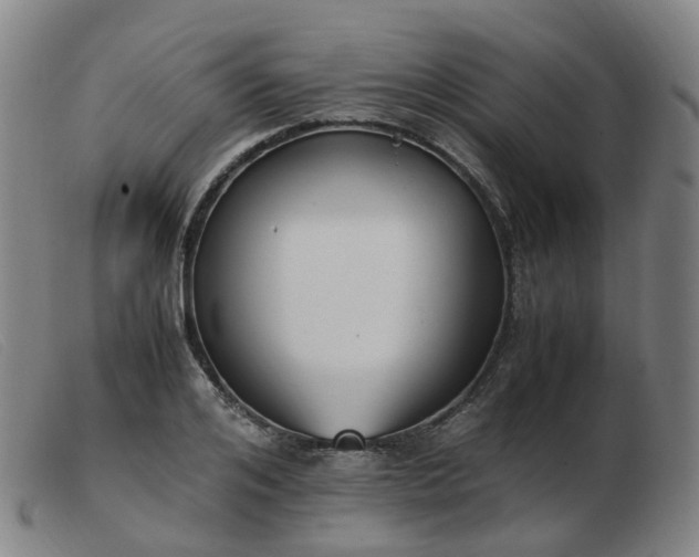 X0000103450984200809191744