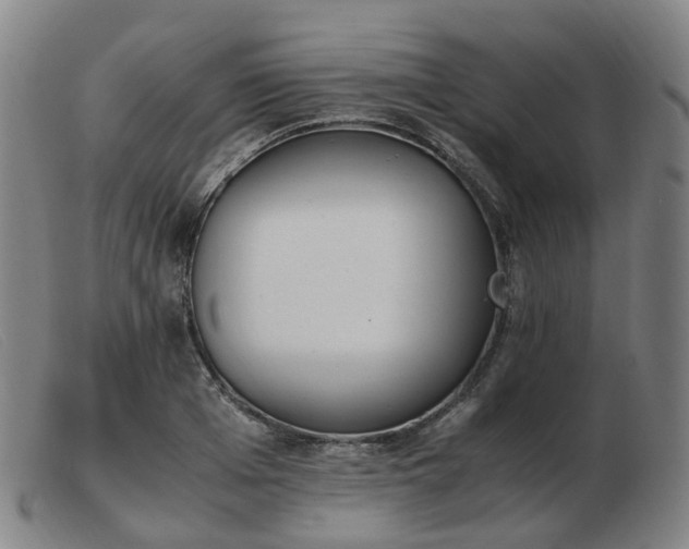 X0000103450985200809191744