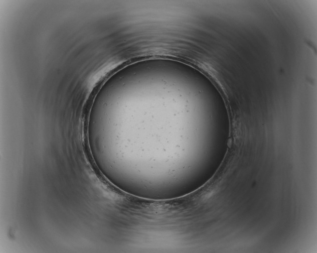 X0000103450987200809191744