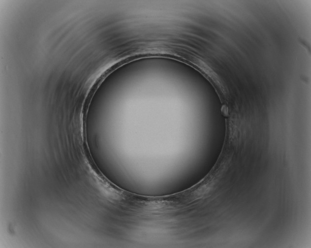 X0000103450988200809191744