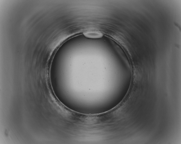 X0000103450989200809191744