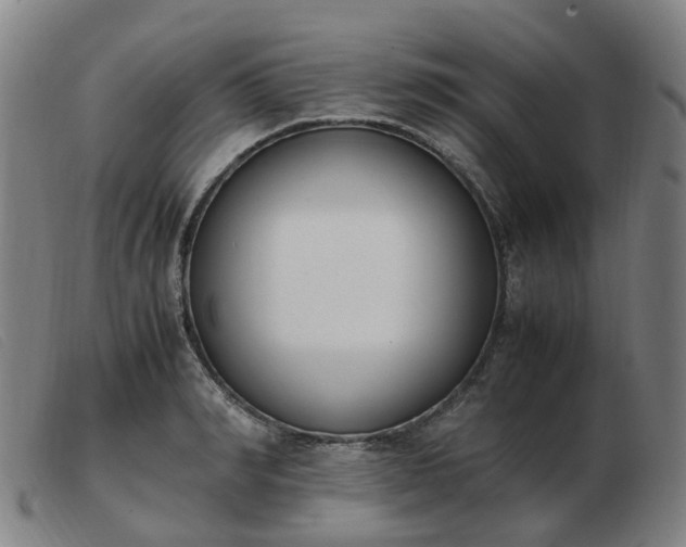 X0000103450990200809191744