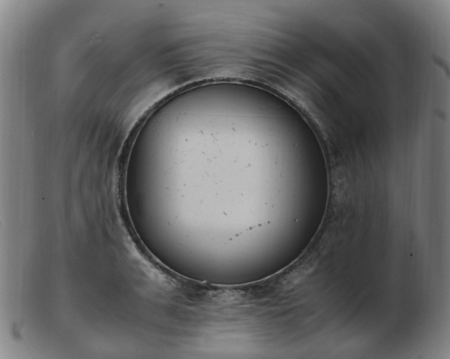 X0000103450991200809191744