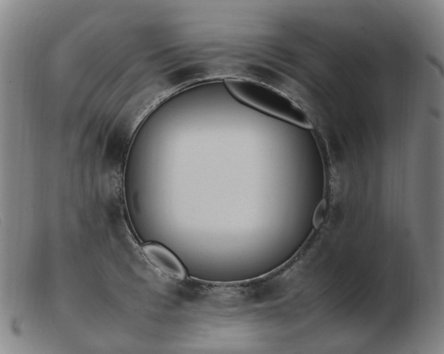 X0000103450993200809191744