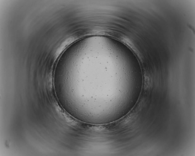 X0000103450994200809191743
