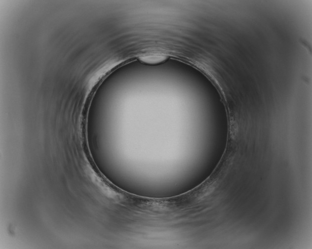 X0000103450995200809191743