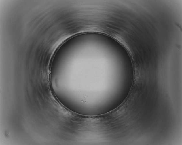 X0000103450996200809191743