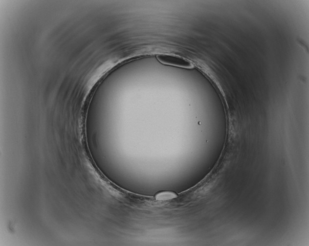 X0000103450997200809191743