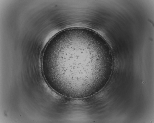 X0000103450998200809191743