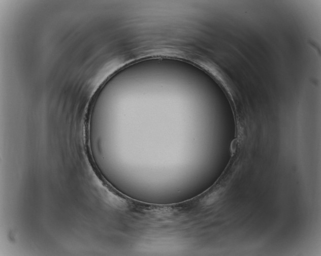 X0000103450999200809191743